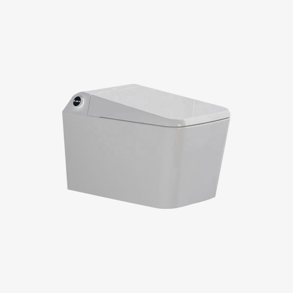 X-Smart - Image 2