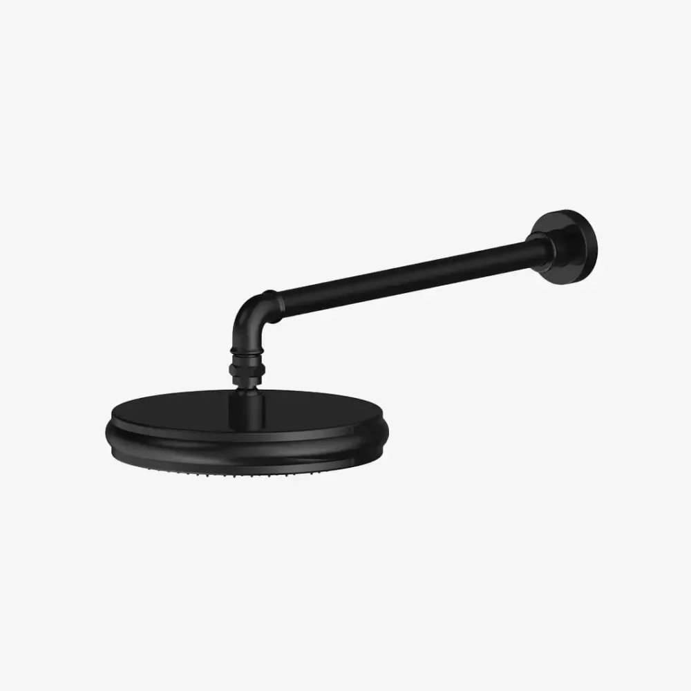 Shower Head With Arm